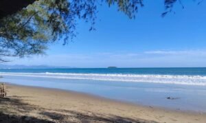 IMG 20240121 WA0041