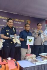 Polda Jatim Gagalkan Penyelundupan Satwa Dilindungi