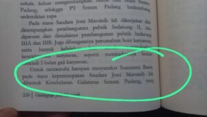 Pilih Kandang di Pulau Jawa, Manajemen Kaburkan Sejarah Berdirinya Semen Padang FC 2 bd90d1fb cb91 4364 8a72 7f47f78d29d2