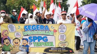 demo mbg