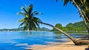 images 8