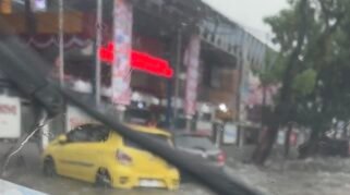 IMG 9774