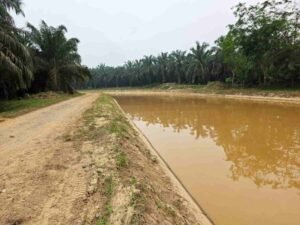 Sambut Wisatawan Sumbar, Riau, dan Jambi, Jalur ALINIA PARK & RESORT Kini Semakin Asri 2 110912 100kb