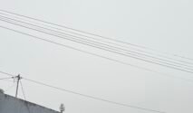 IMG 1632